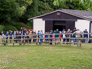 KS300622-94 - Kirtlington Stud Visit